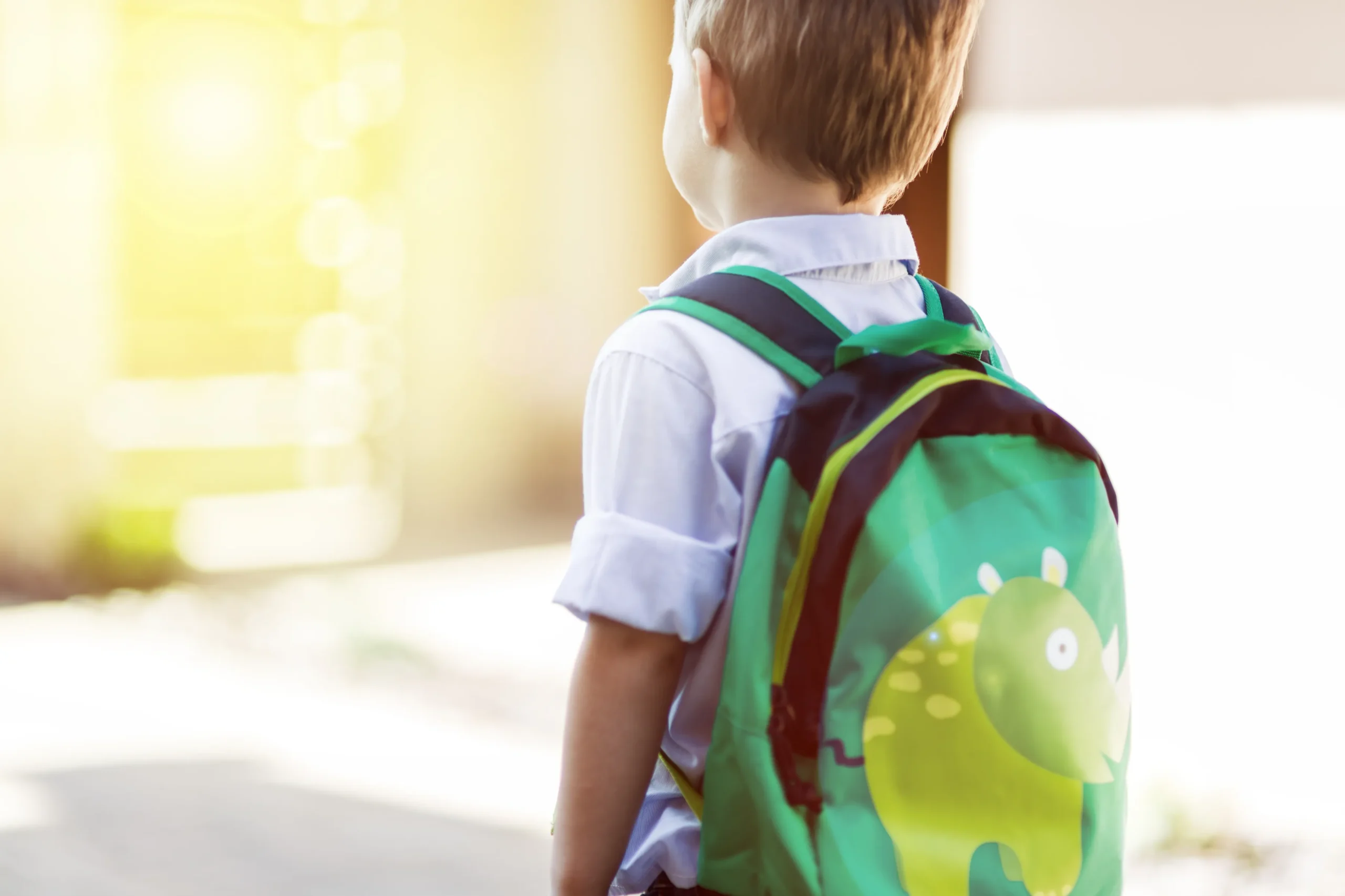 A young boy with a green dinosaur backpack walking outdoors, facing away from the camera in bright sunlight.